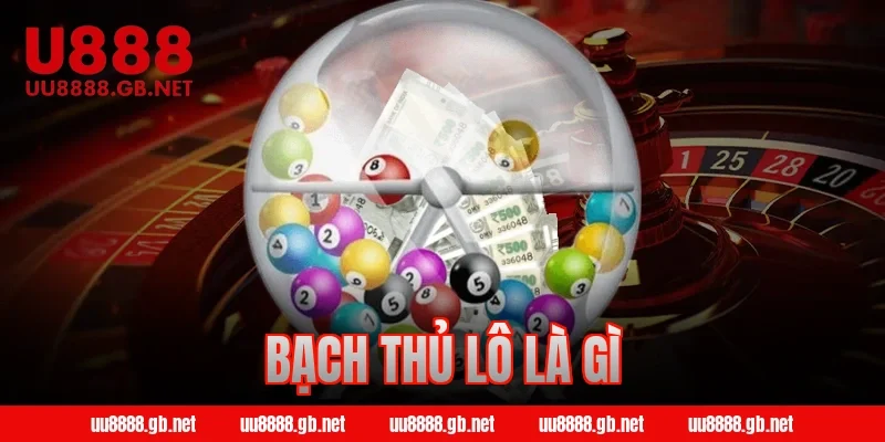 bạch thủ lô là gì