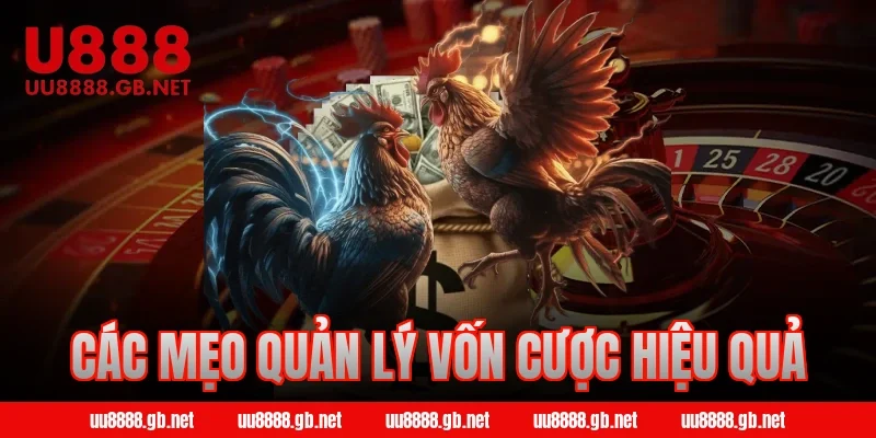 Các mẹo quản lý vốn cược hiệu quả