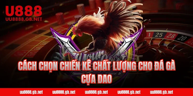 Cách chọn chiến kê chất lượng cho đá gà cựa dao