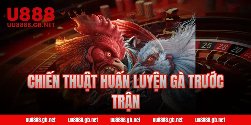 Chiến thuật huấn luyện gà trước trận