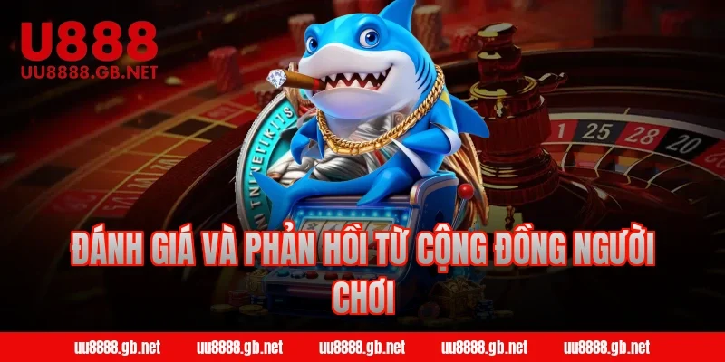 Đánh giá và phản hồi từ cộng đồng người chơi