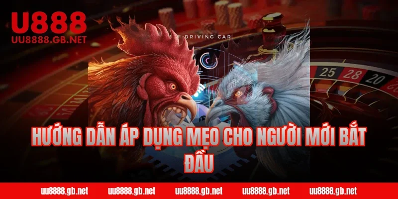 Hướng dẫn áp dụng mẹo cho người mới bắt đầu