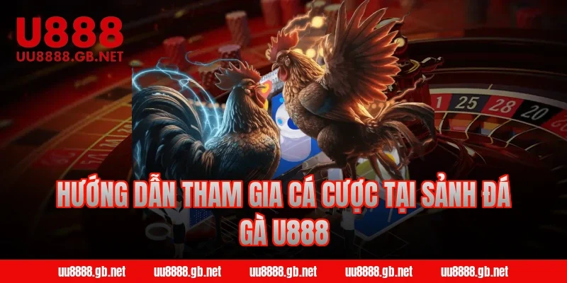 Hướng dẫn tham gia cá cược tại sảnh đá gà U888