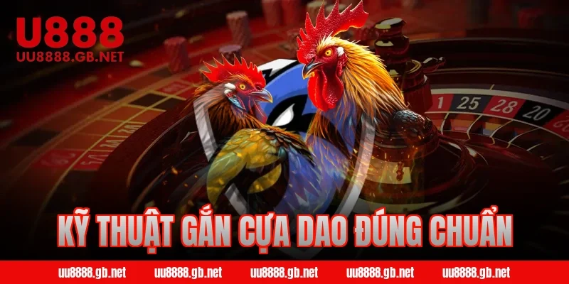 Kỹ thuật gắn cựa dao đúng chuẩn