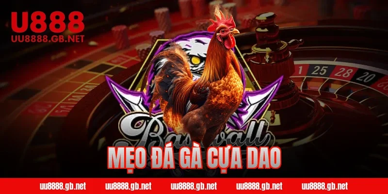 mẹo đá gà cựa dao