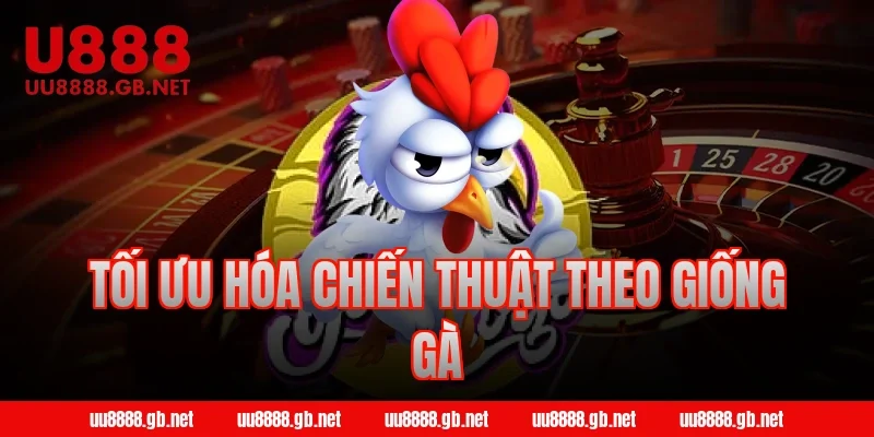 Tối ưu hóa chiến thuật theo giống gà